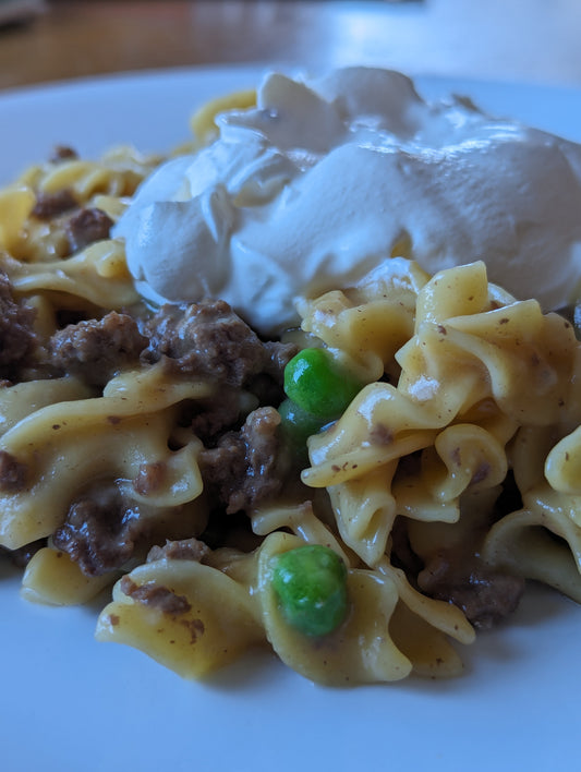 Insta Pot Ground Beef Stroganoff